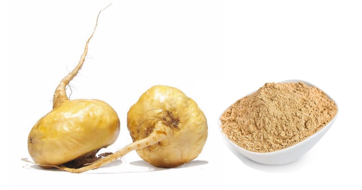 Üründeki Peru maca'sı